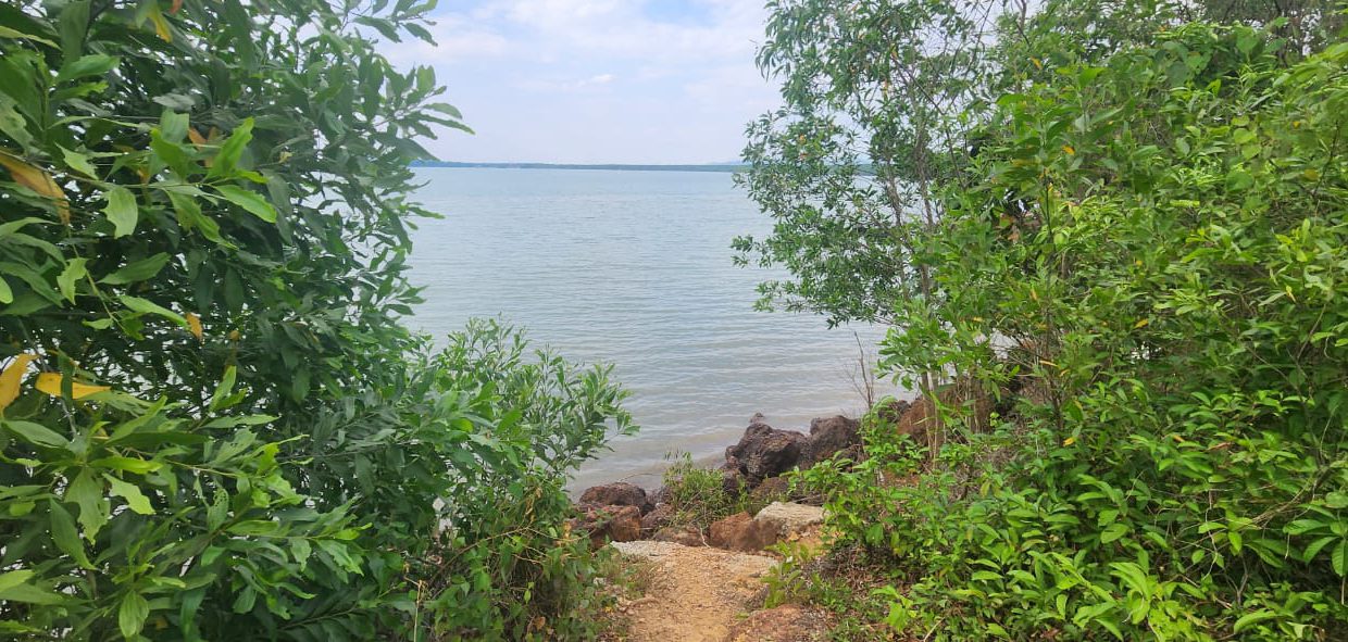 WhatsApp Image 2026-02-03 at 13.54.40 (1)