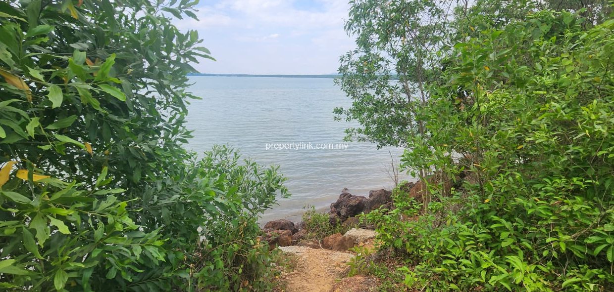 WhatsApp Image 2026-02-03 at 13.54.40 (1)