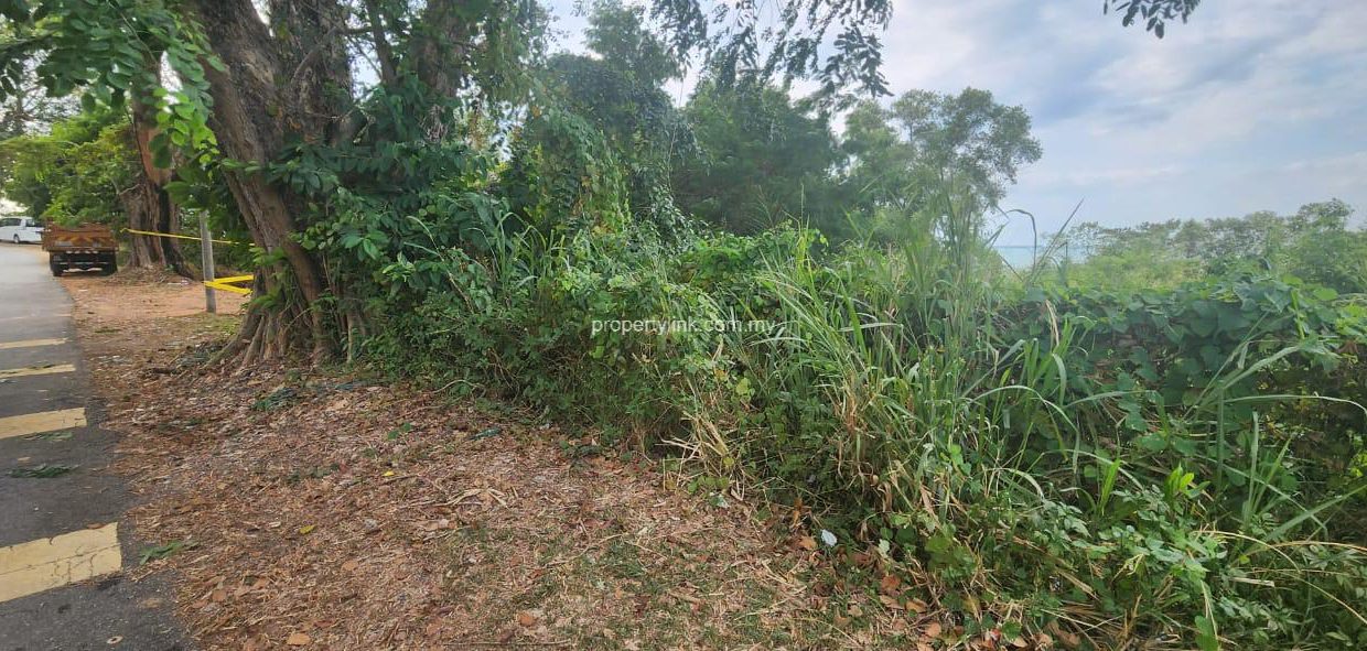 WhatsApp Image 2026-02-03 at 13.54.41 (1)