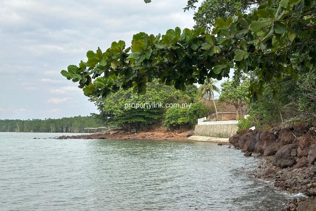 WhatsApp Image 2026-02-06 at 00.46.20