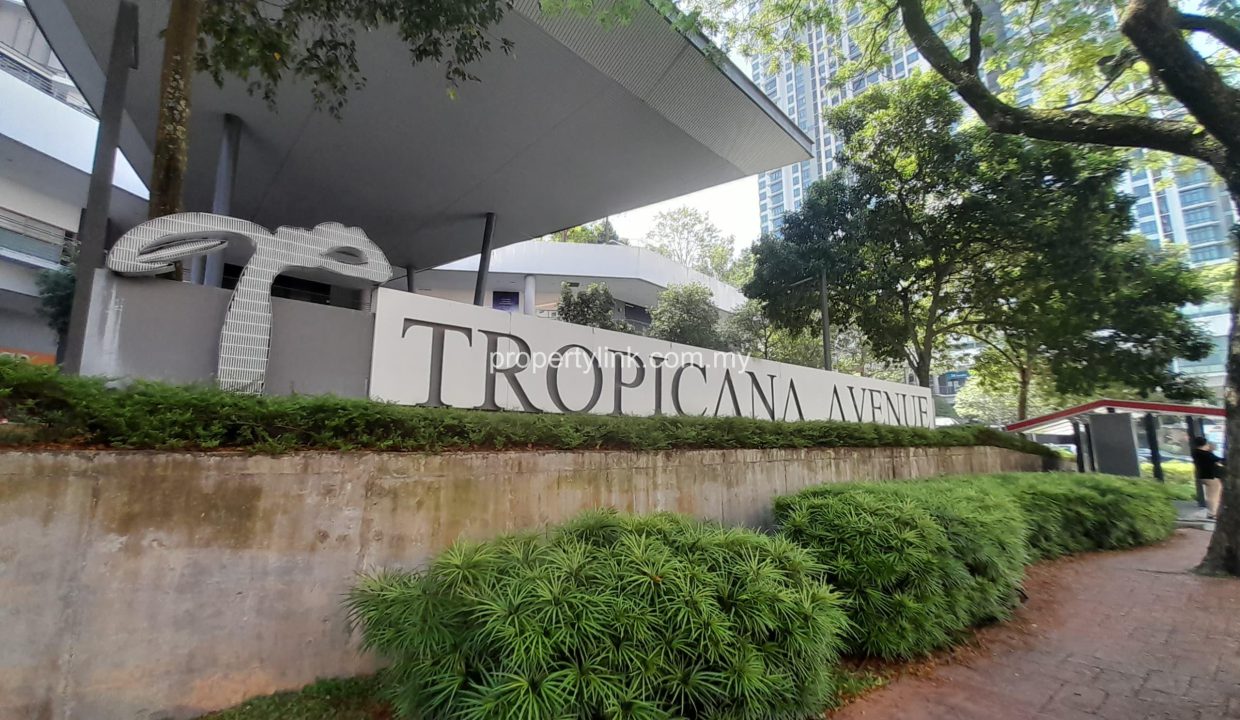 WhatsApp Image 2026-02-24 at 14.35.57