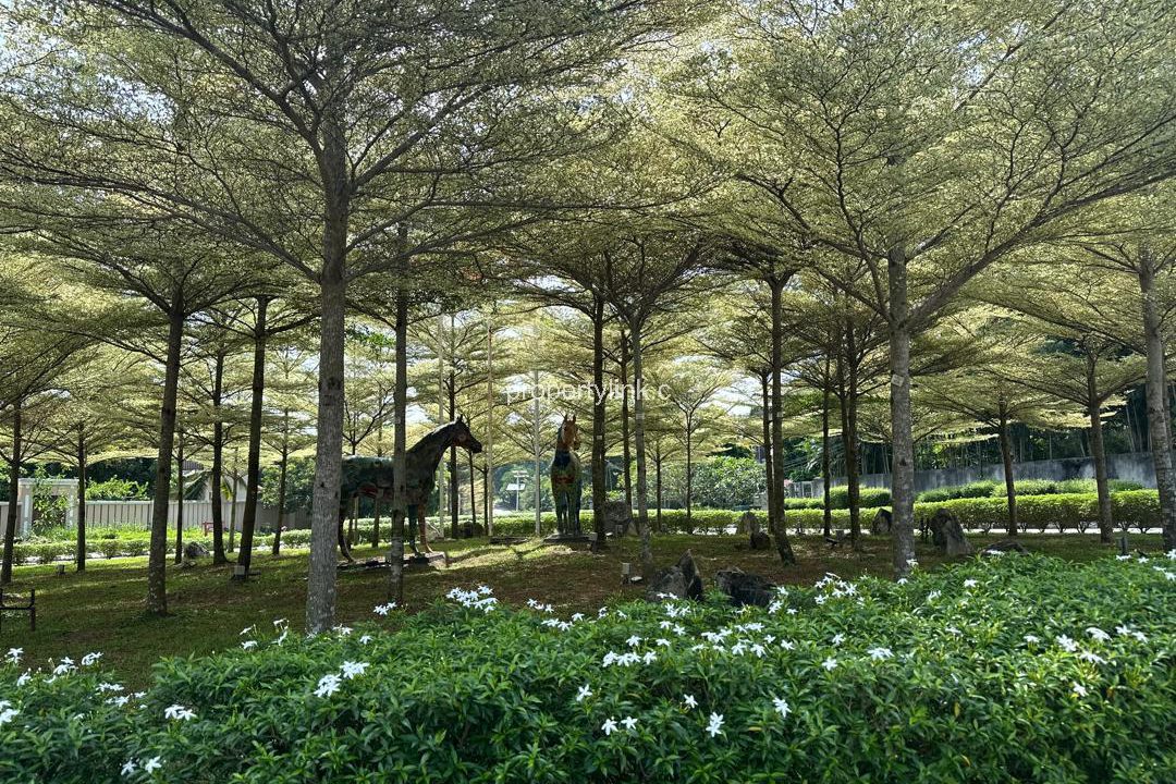 WhatsApp Image 2026-04-16 at 09.54.33