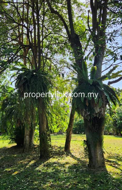 WhatsApp Image 2026-04-16 at 10.19.24 (1)